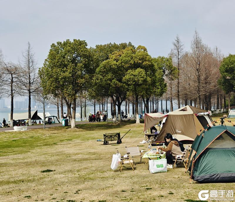 《大道仙途》【柒柒日记】太湖边露营遇繁花，这才是春日最治愈的小确幸
