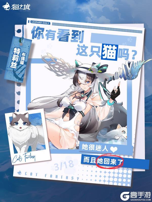 《猫之城》寻猫启事：你有看到布偶猫吗？