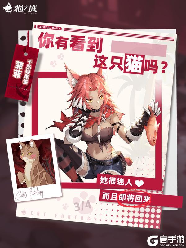 《猫之城》🐾寻猫启事：你有看到千岛短尾猫吗？