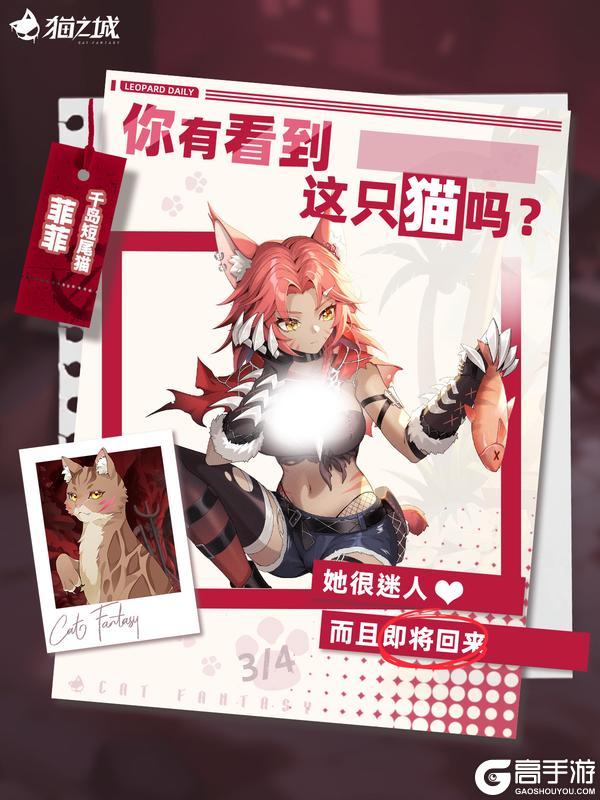 《猫之城》寻猫启事:你有看到千岛短尾猫吗?