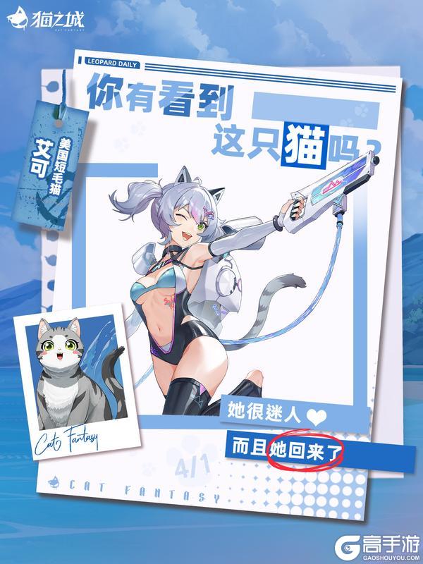 《猫之城》🐾寻猫启事：你有看到美短猫吗？