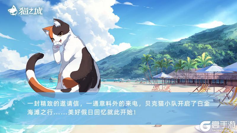 《猫之城》萤流浪速丨活动故事