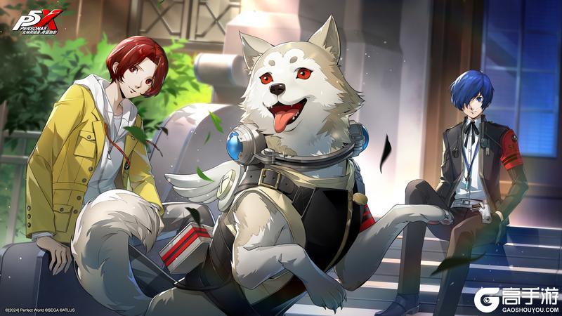 「《女神异闻录：夜幕魅影》4.8.2版本壁纸分享」｜P5X