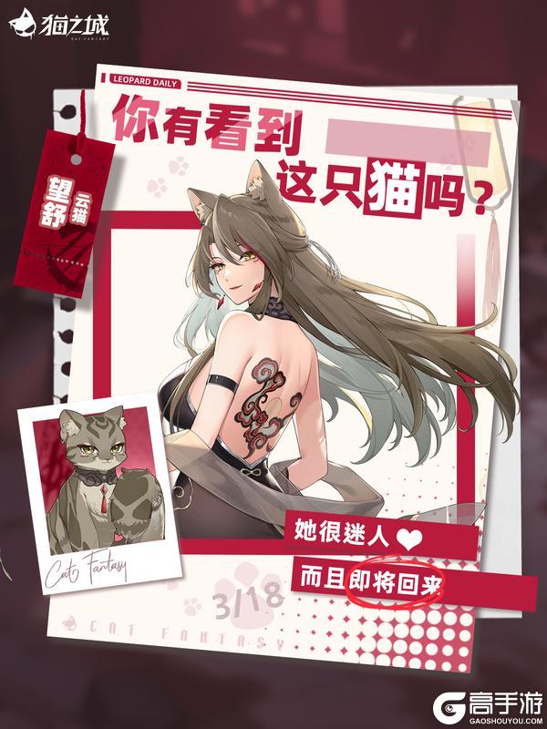 《猫之城》寻猫启事：你有看到云猫吗？