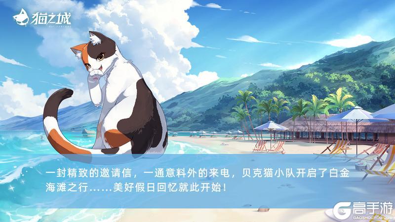 《猫之城》🐋萤流浪速 | 活动故事