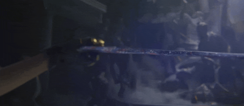 《暗区突围》银鳞之吻丨送二十抽!全新角色外观&近战武器即将解锁!