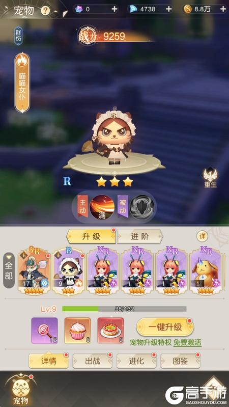 星神纪元宠物进阶养成全攻略