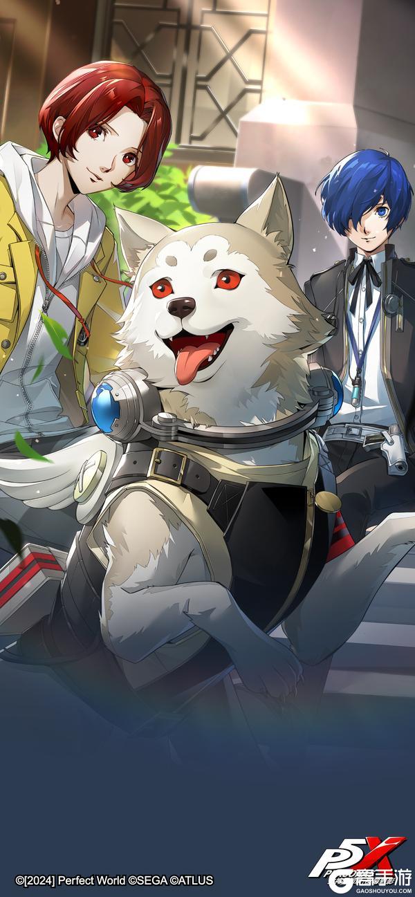 「《女神异闻录：夜幕魅影》4.8.2版本壁纸分享」｜P5X