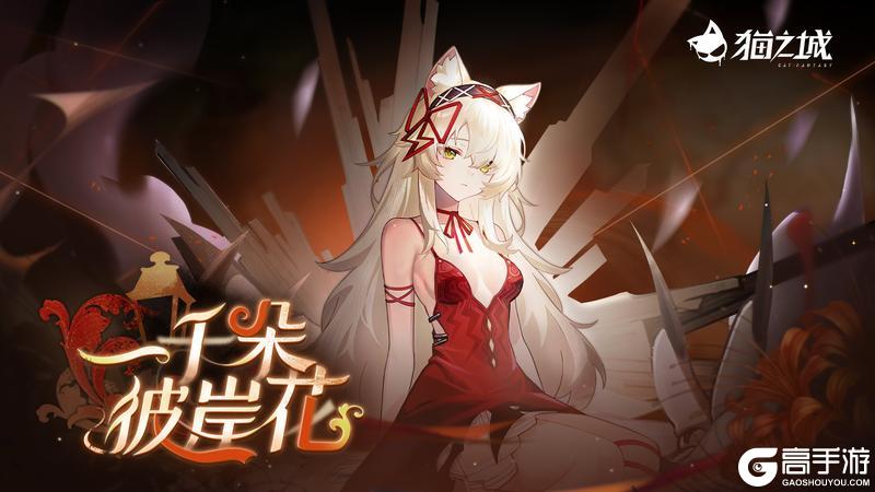 《猫之城》「一千朵彼岸花」即将开启