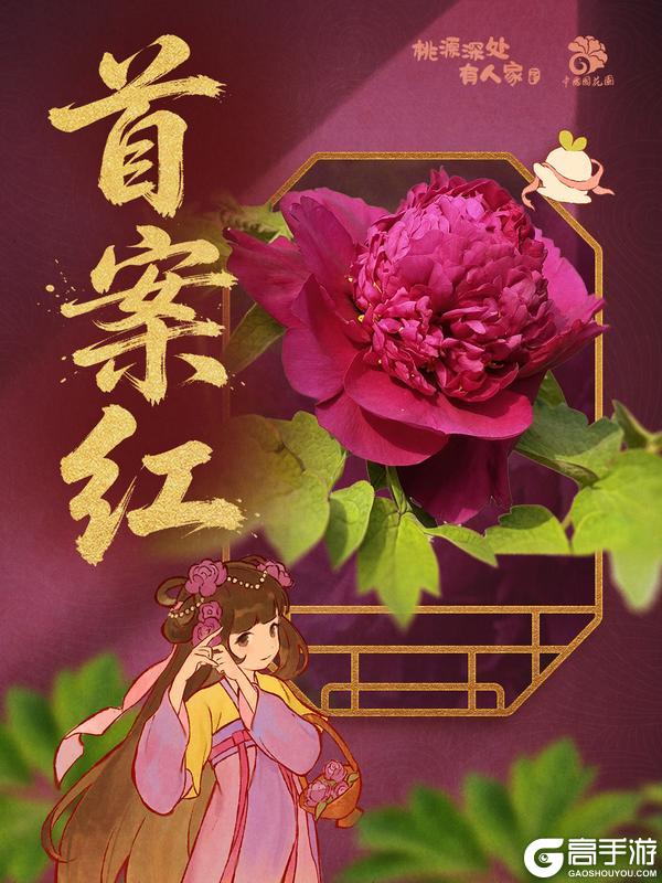 《桃源深处有人家》赏牡丹国色丨花开时节见桃源