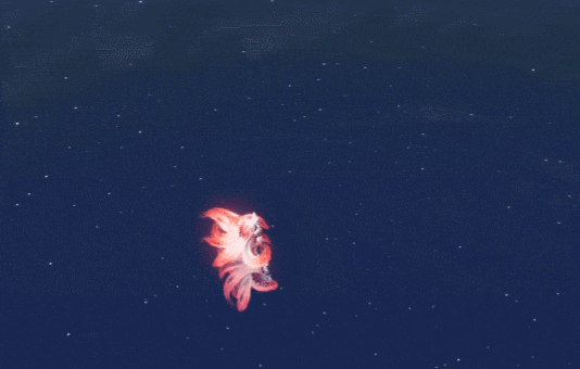 《遇见逆水寒》我敢说，战力提升的最佳时机要来了！