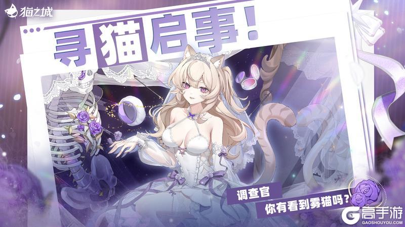 《猫之城》🐾寻猫启事：你有看到雾猫吗？