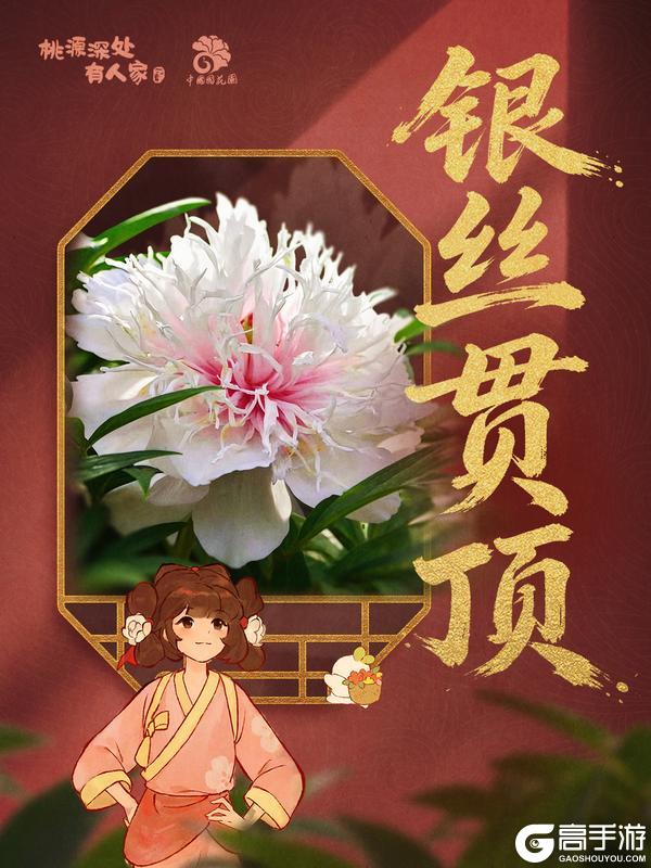 《桃源深处有人家》赏牡丹国色丨花开时节见桃源