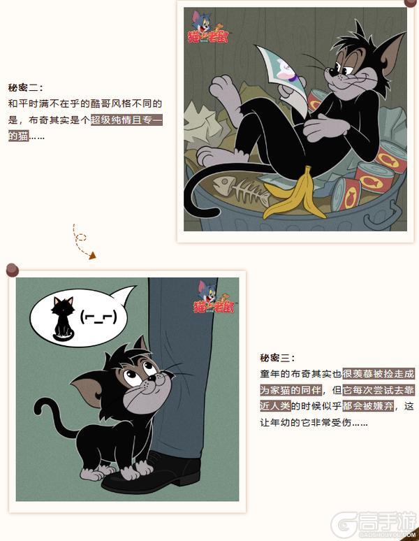 《猫和老鼠》布奇角色档案丨自由洒脱！酷猫布奇闪亮登场