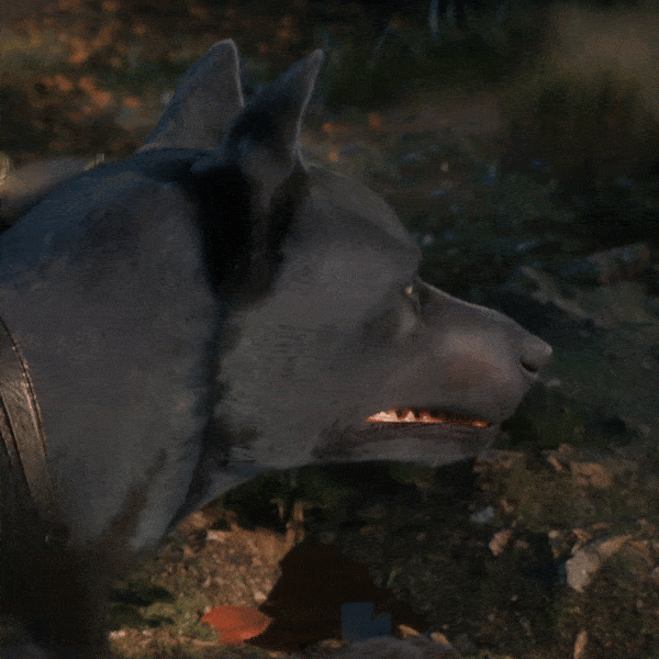 《遮天：帝路争锋》黑皇表情包来袭