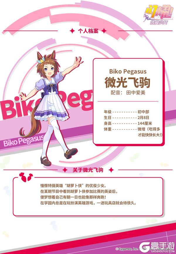 《闪耀!优俊少女》特雷森学园档案║微光飞驹