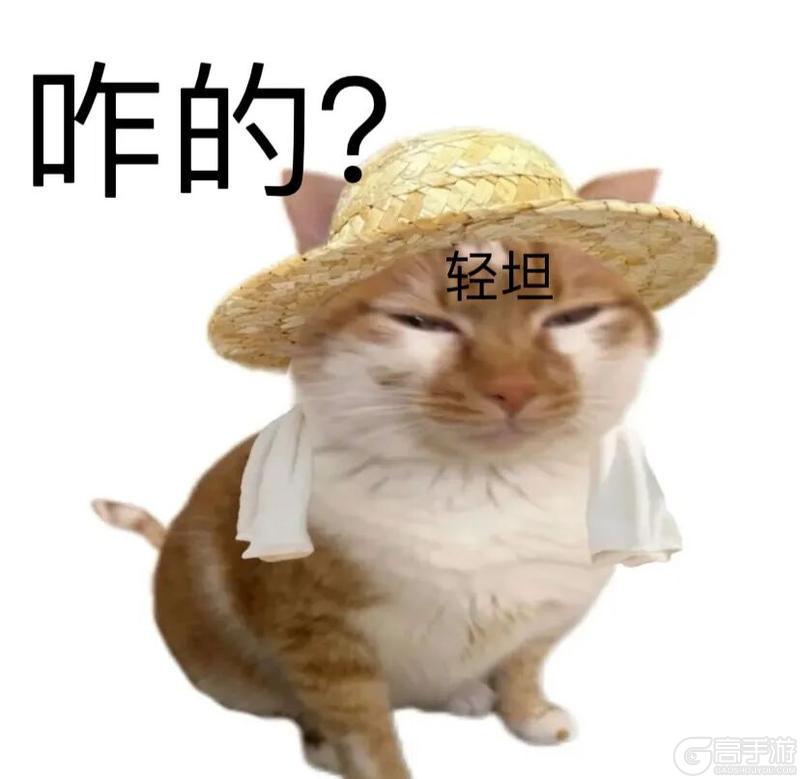 《坦克世界闪击战》同级最好俯角？手感绝佳但给这个车有点浪费！