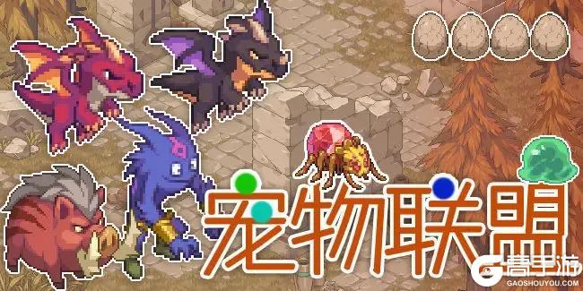 《浮石之旅》活动速报——狂热宠物周限时回归！