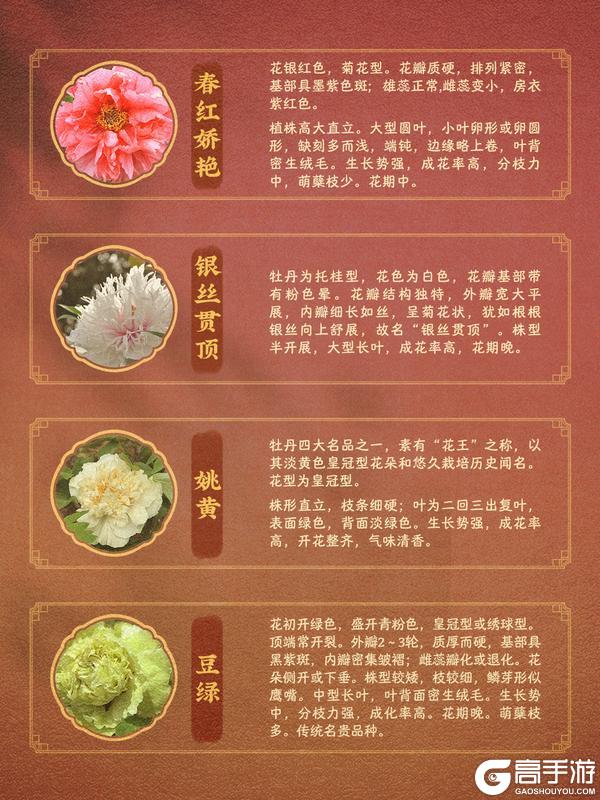 《桃源深处有人家》赏牡丹国色丨花开时节见桃源