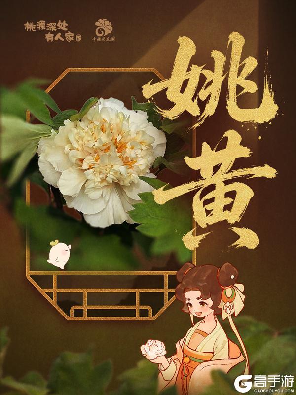 《桃源深处有人家》赏牡丹国色丨花开时节见桃源