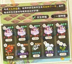 织梦森林