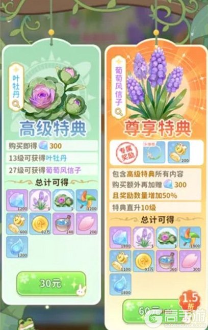 织梦森林