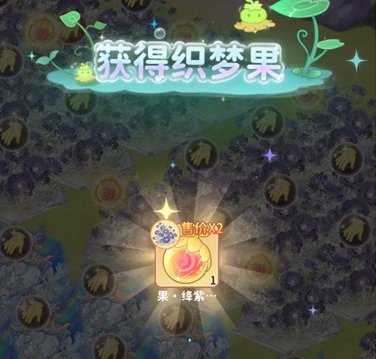 织梦森林