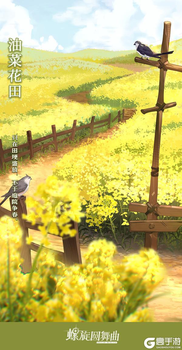 《螺旋圆舞曲》【油菜花田】活动公告~