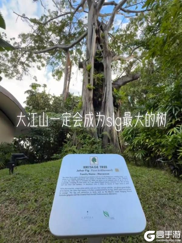 《偃武》大江山专访丨以义聚兄弟,以战定江山