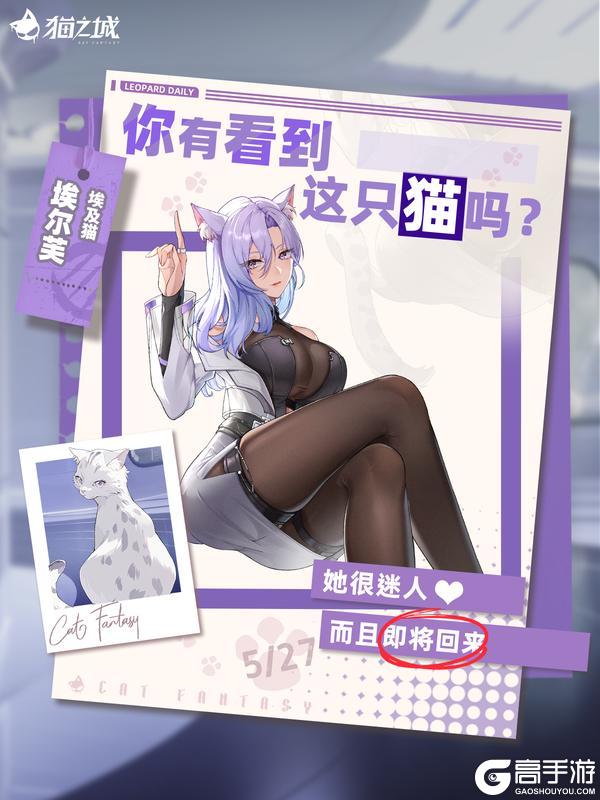 《猫之城》寻猫启事:你有看到埃及猫吗?