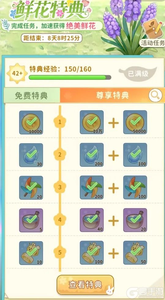 织梦森林