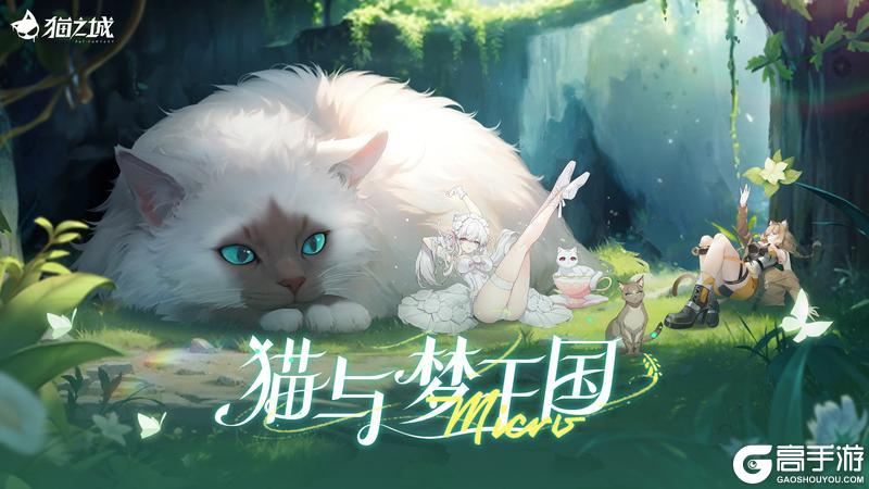 《猫之城》🍀版本开启 | 猫与梦王国