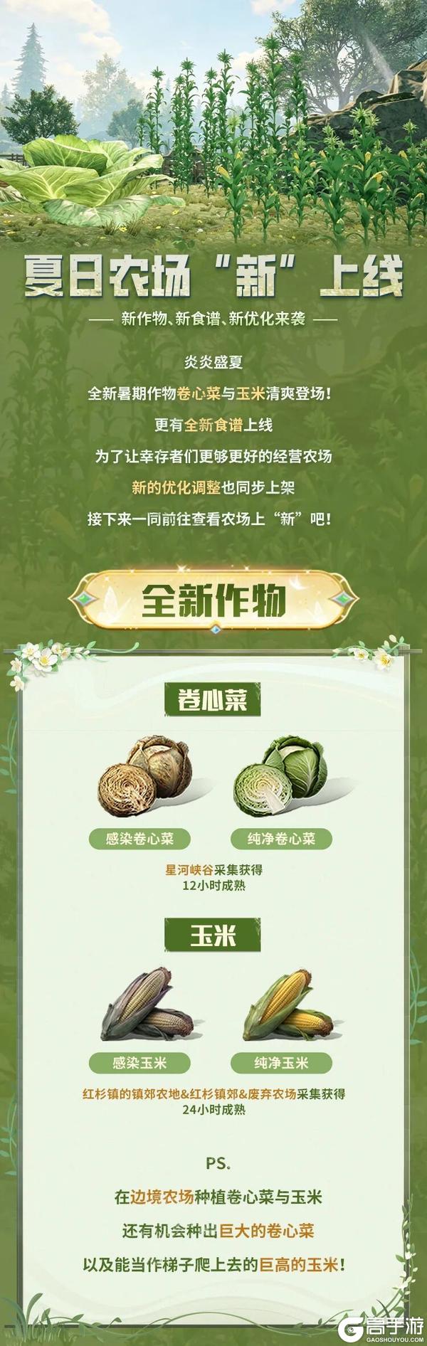 《明日之后》夏日农场上“新”新作物、新食谱更有全新优化！