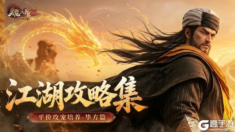 《天龙八部2:飞龙战天》江湖攻略集 | 平价攻宠培养-毕方篇