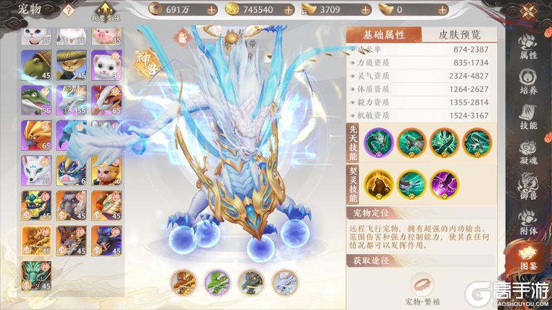 《天龙八部2:飞龙战天》江湖攻略集|七大神兽选哪个?神兽养成攻略奉上