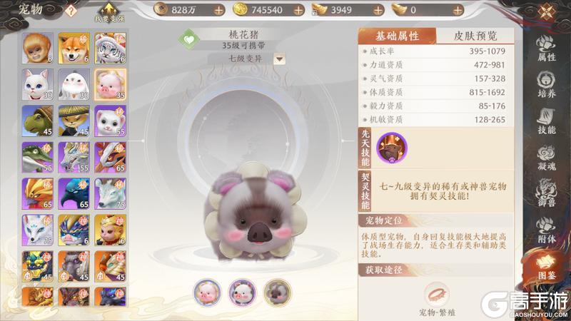 《天龙八部2：飞龙战天》江湖攻略集 | 挂机没蓝？不如试着培养桃花猪
