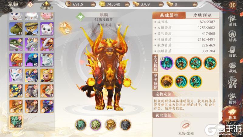 《天龙八部2:飞龙战天》江湖攻略集|七大神兽选哪个?神兽养成攻略奉上