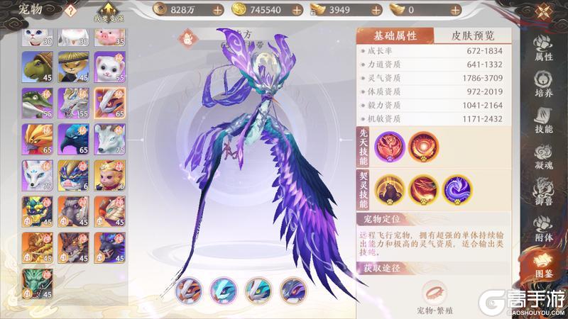 《天龙八部2:飞龙战天》江湖攻略集 | 平价攻宠培养-毕方篇