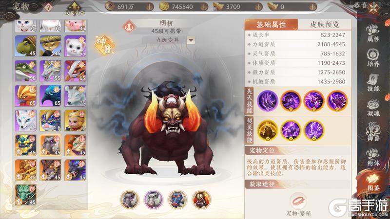 《天龙八部2:飞龙战天》江湖攻略集|七大神兽选哪个?神兽养成攻略奉上