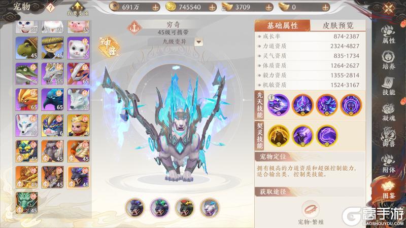 《天龙八部2:飞龙战天》江湖攻略集|七大神兽选哪个?神兽养成攻略奉上