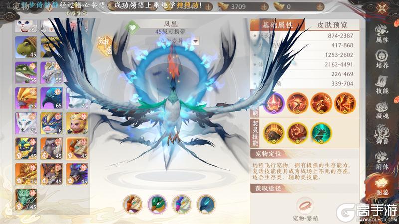 《天龙八部2:飞龙战天》江湖攻略集|七大神兽选哪个?神兽养成攻略奉上