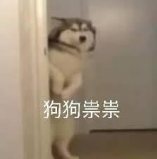 《我的勇者》【7周年】会长小酒馆再开业！完成委托领20抽！