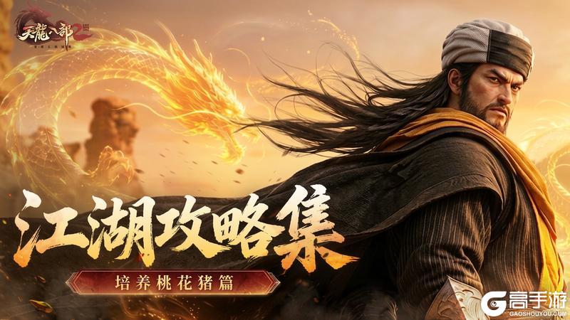 《天龙八部2：飞龙战天》江湖攻略集 | 挂机没蓝？不如试着培养桃花猪
