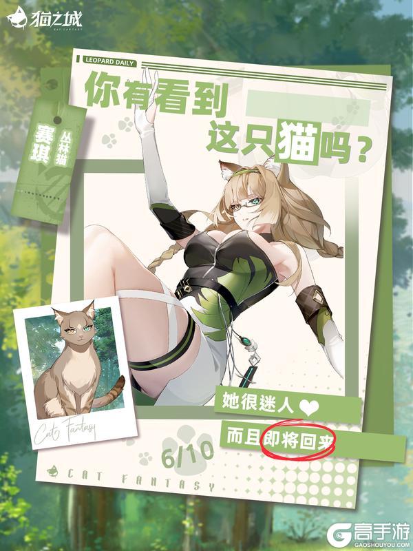 《猫之城》🐾寻猫启事:你有看到丛林猫吗?