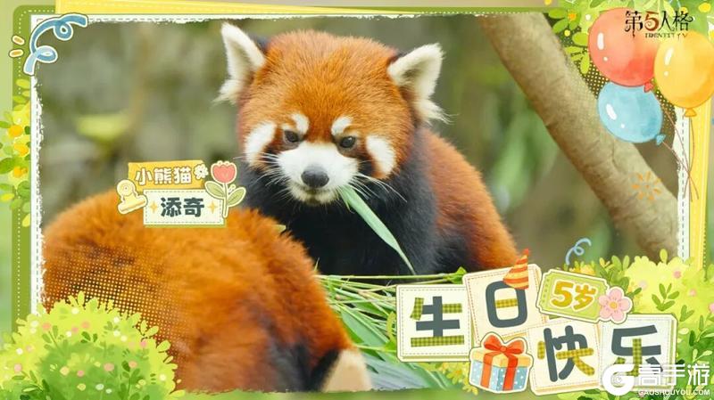 《第五人格》熊猫日记 添玉、添奇、添舞、添宝 五岁啦！