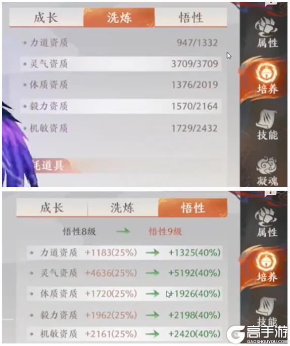 《天龙八部2:飞龙战天》江湖攻略集 | 平价攻宠培养-毕方篇