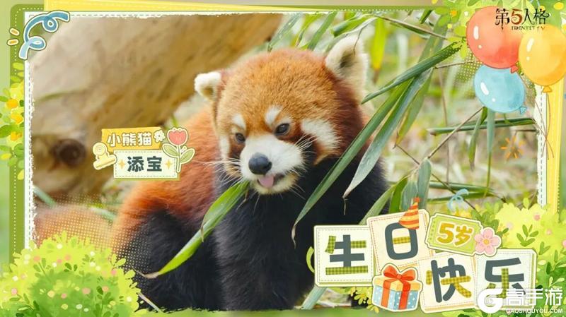 《第五人格》熊猫日记 添玉、添奇、添舞、添宝 五岁啦！