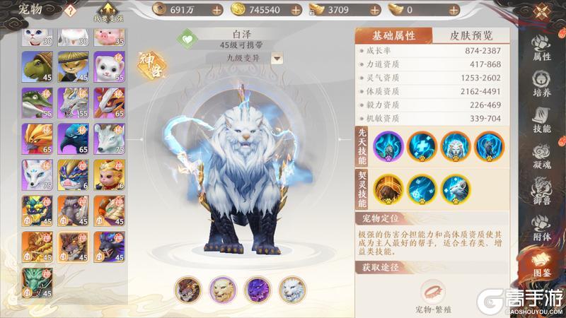 《天龙八部2:飞龙战天》江湖攻略集|七大神兽选哪个?神兽养成攻略奉上