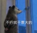 《道友请留步》洞天深处忽传瑶琴声，道友速速来破！