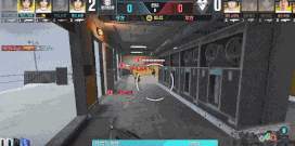 5.gif